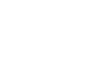 Management System Development